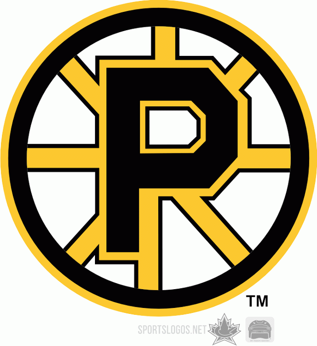 Providence Bruins 1995 96-2011 12 Primary Logo iron on heat transfer